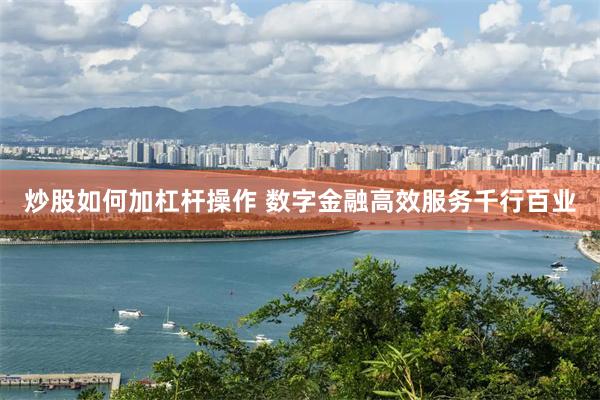 炒股如何加杠杆操作 数字金融高效服务千行百业