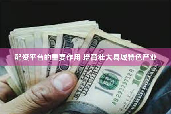 配资平台的重要作用 培育壮大县域特色产业