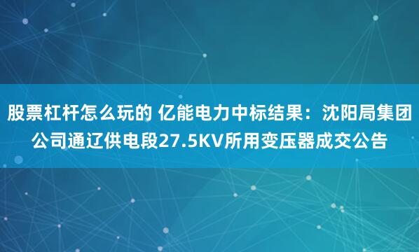 股票杠杆怎么玩的 亿能电力中标结果：沈阳局集团公司通辽供电段27.5KV所用变压器成交公告