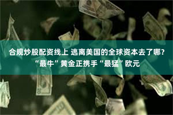 合规炒股配资线上 逃离美国的全球资本去了哪？“最牛”黄金正携手“最猛”欧元
