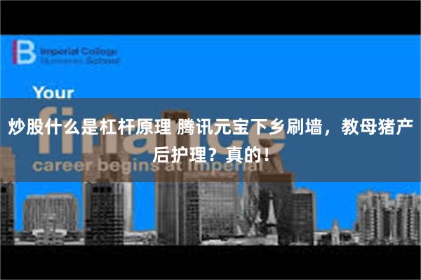炒股什么是杠杆原理 腾讯元宝下乡刷墙，教母猪产后护理？真的！