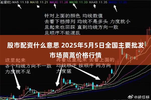 股市配资什么意思 2025年5月5日全国主要批发市场茼蒿价格行情