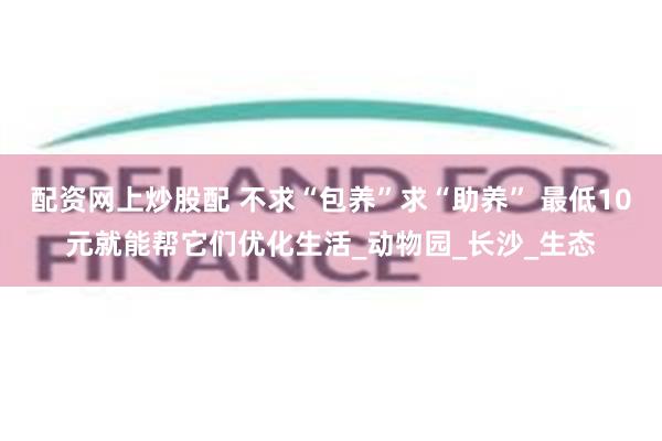 配资网上炒股配 不求“包养”求“助养” 最低10元就能帮它们优化生活_动物园_长沙_生态