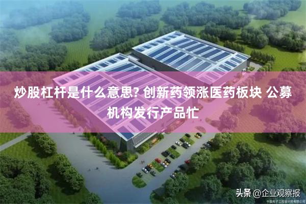 炒股杠杆是什么意思? 创新药领涨医药板块 公募机构发行产品忙