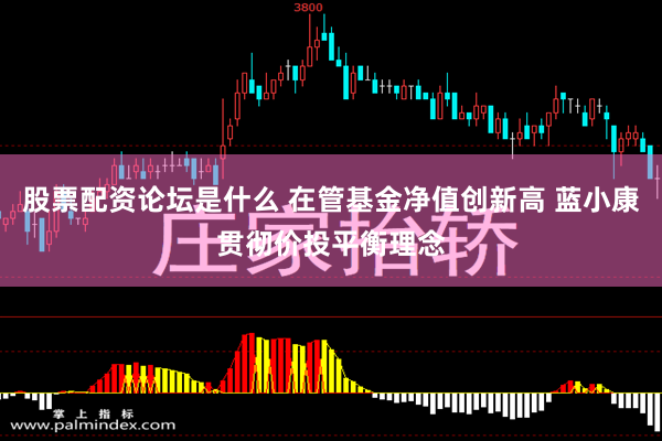 股票配资论坛是什么 在管基金净值创新高 蓝小康贯彻价投平衡理念