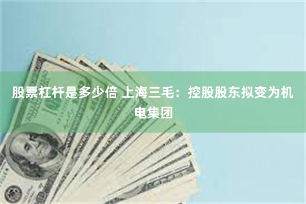 股票杠杆是多少倍 上海三毛：控股股东拟变为机电集团