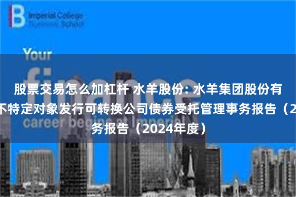 股票交易怎么加杠杆 水羊股份: 水羊集团股份有限公司向不特定对象发行可转换公司债券受托管理事务报告（2024年度）