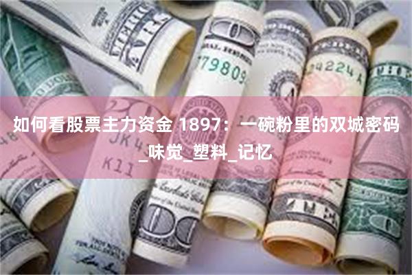 如何看股票主力资金 1897：一碗粉里的双城密码_味觉_塑料_记忆