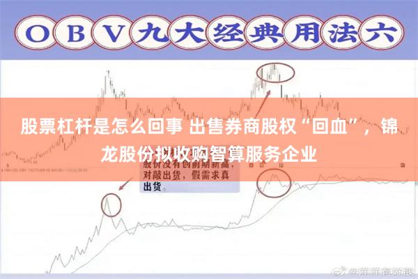 股票杠杆是怎么回事 出售券商股权“回血”，锦龙股份拟收购智算服务企业