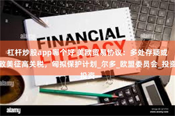 杠杆炒股app哪个好 美欧贸易协议：多处存疑或致美征高关税，匈拟保护计划_尔多_欧盟委员会_投资