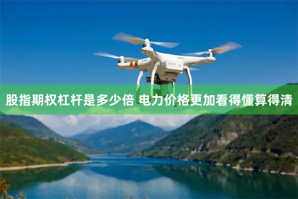 股指期权杠杆是多少倍 电力价格更加看得懂算得清